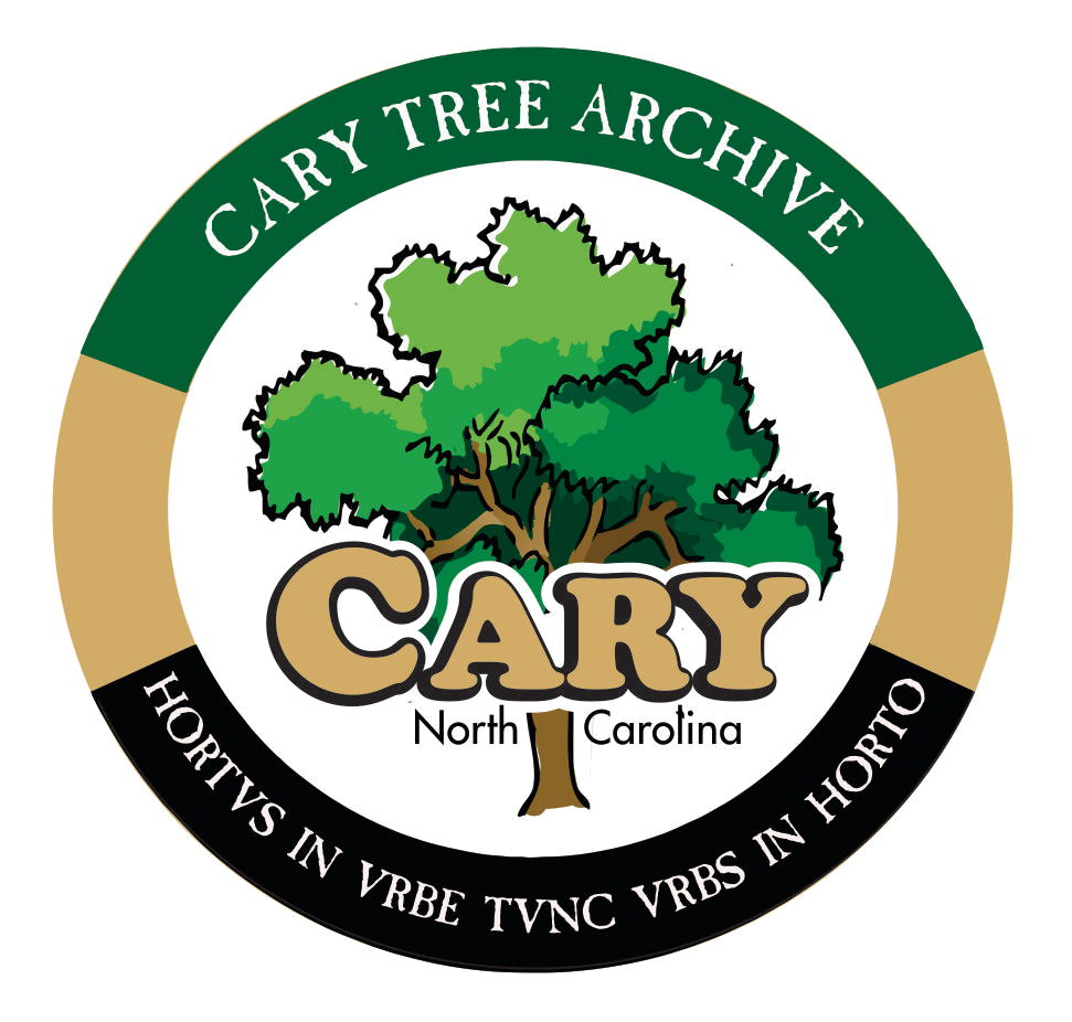 Cary Tree Archive